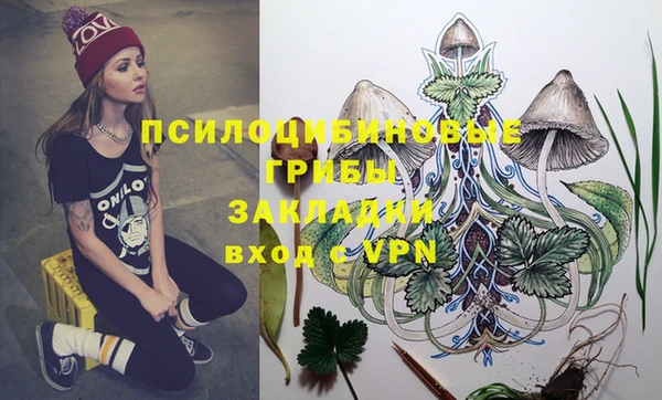 бутират Каменногорск
