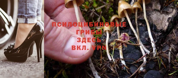 бутират Каменногорск