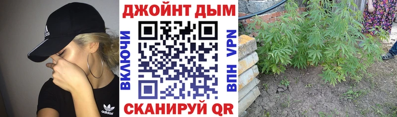 Каннабис OG Kush  Купить где  Назарово 
